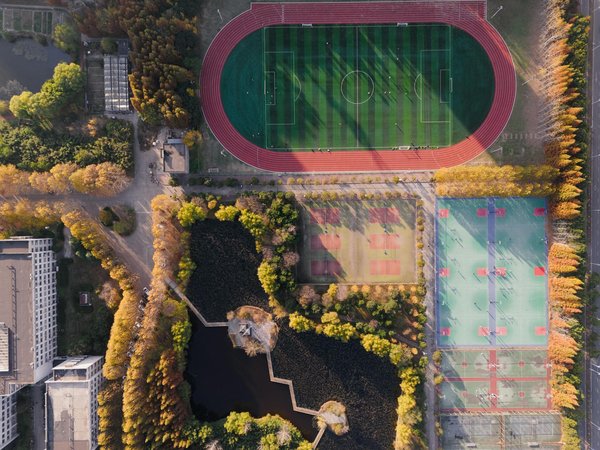 Musculation et yoga : comment ces disciplines se complètent